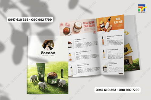 Mẫu Catalogue đẹp